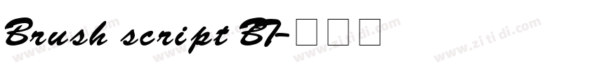 Brush script BT字体转换